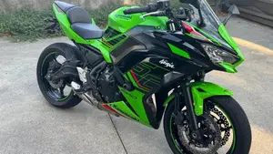 Kawasaki Ninja 650 (2021 - 24)  (4)