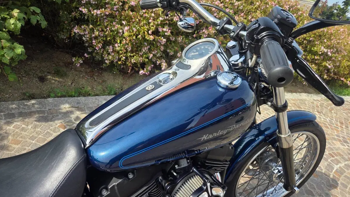Harley-Davidson 1450 Softail Deuce (1999 - 2001)  (4)