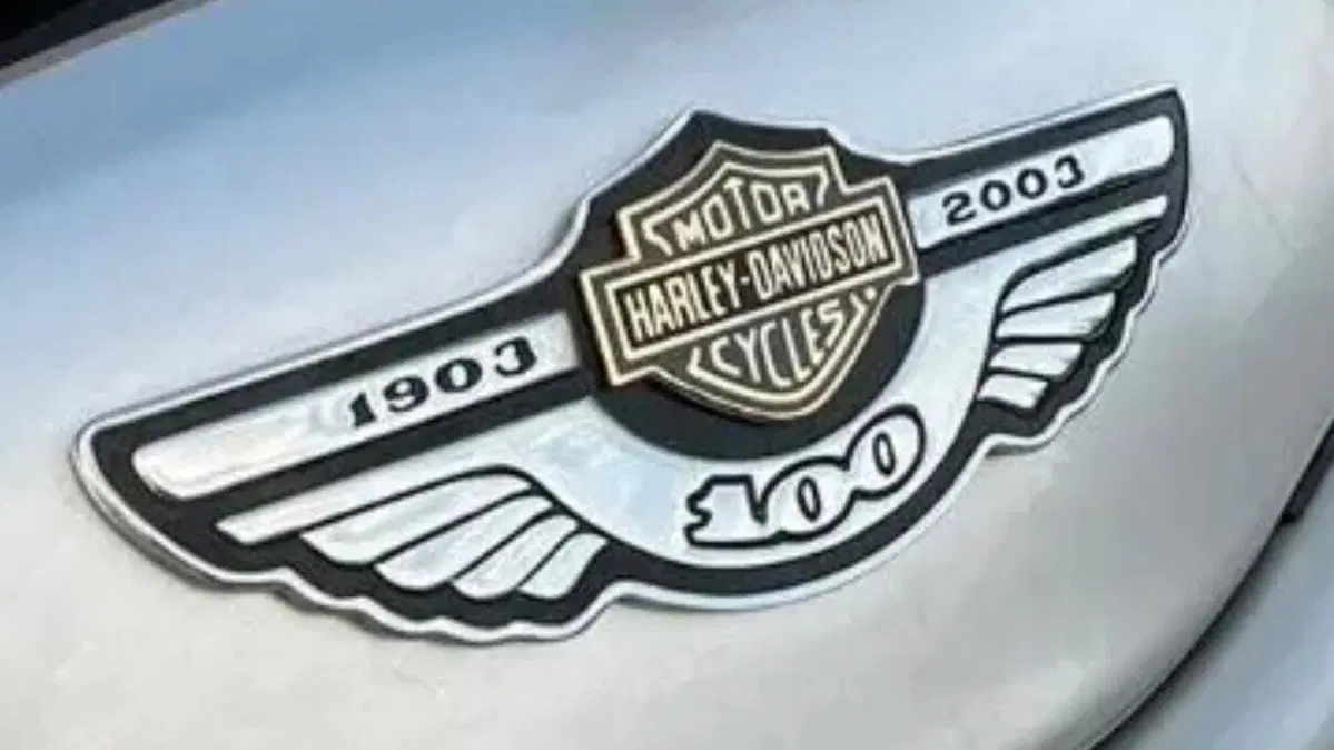 Harley-Davidson 1130 V-Rod (2002 - 05) - VRSCA  (5)