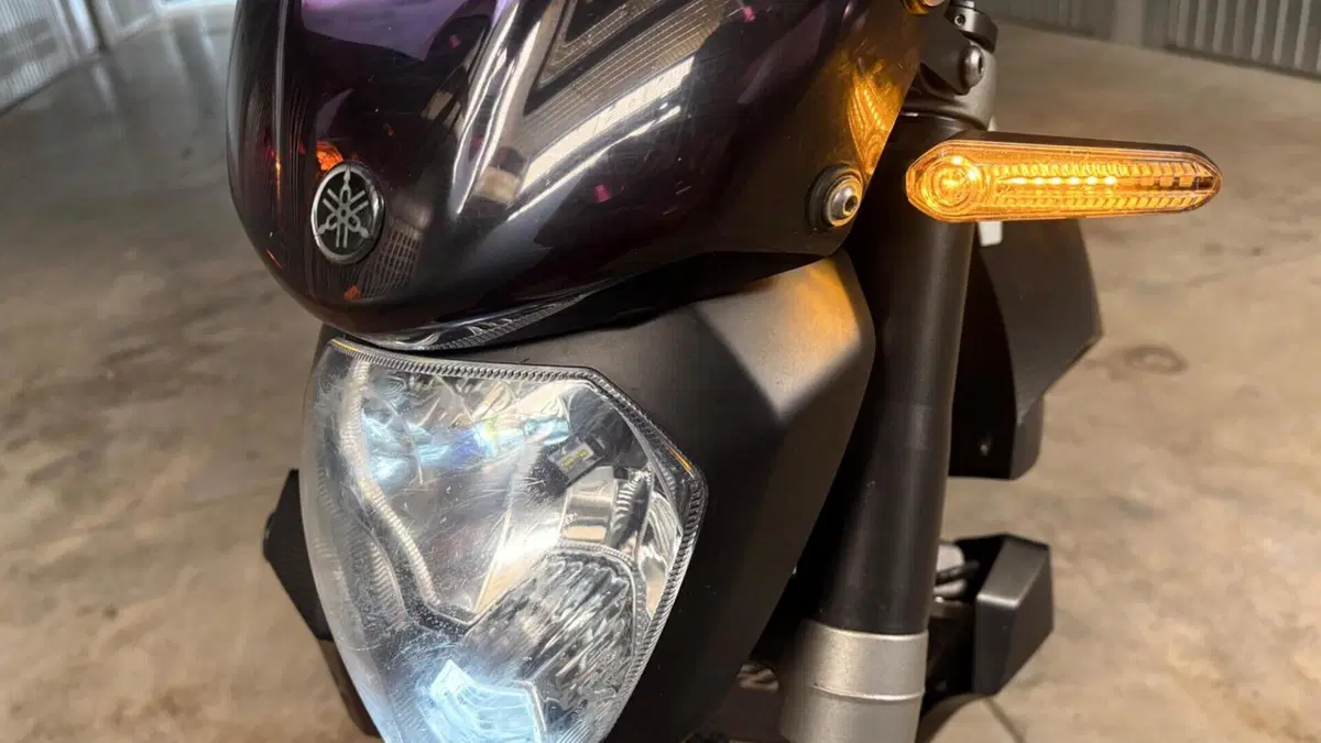 Yamaha MT-07 ABS (2014 - 16)  (9)
