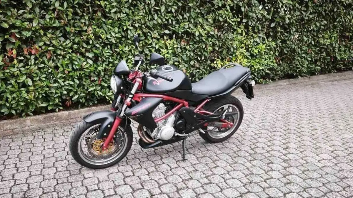 Kawasaki ER-6N (2005 - 08) 