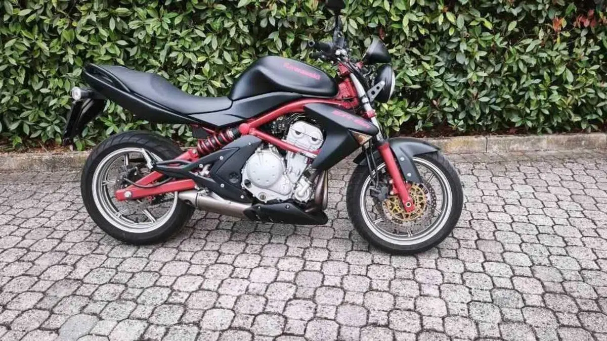 Kawasaki ER-6N (2005 - 08)  (2)