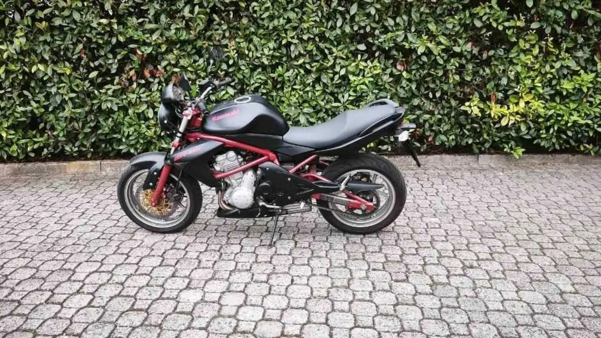 Kawasaki ER-6N (2005 - 08)  (3)