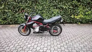 Kawasaki ER-6N (2005 - 08)  (3)