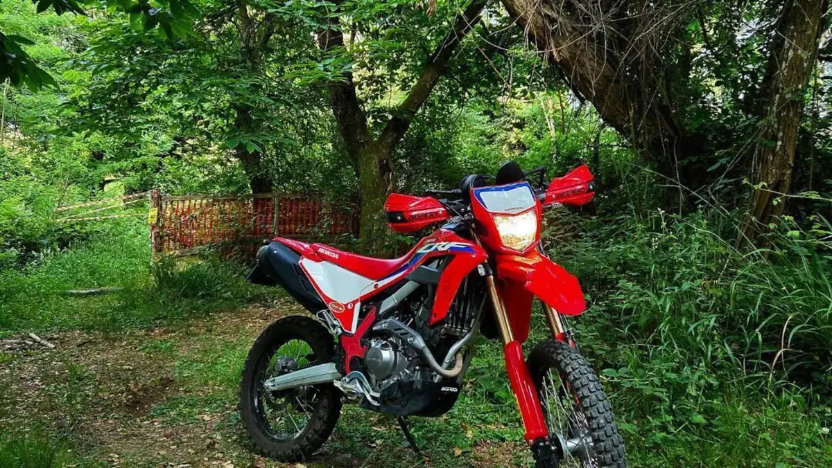 Honda CRF 300L (2021 - 24) 
