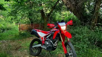 Honda CRF 300L (2021 - 24)