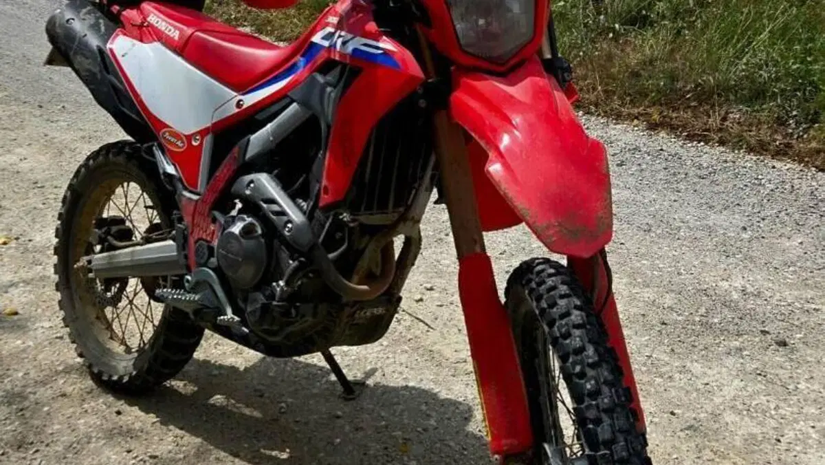 Honda CRF 300L (2021 - 24)  (6)