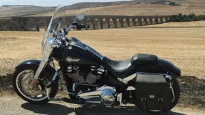 Harley-Davidson Fat Boy 114 (2021 - 24)  (2)