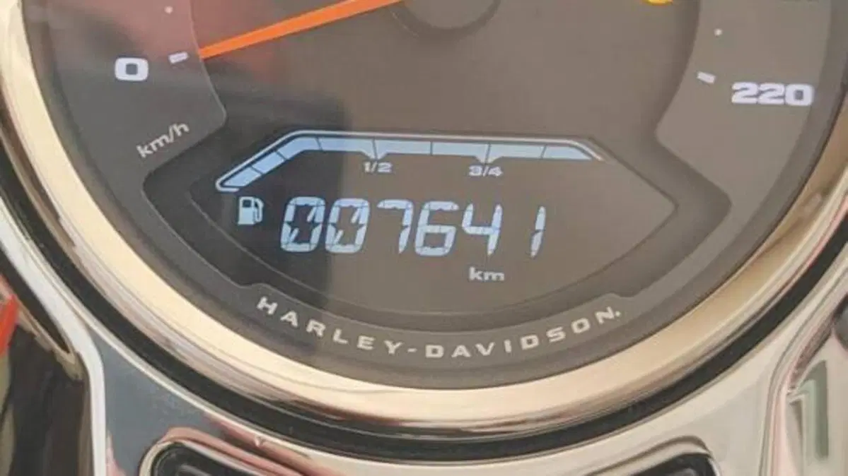 Harley-Davidson Fat Boy 114 (2021 - 24)  (13)