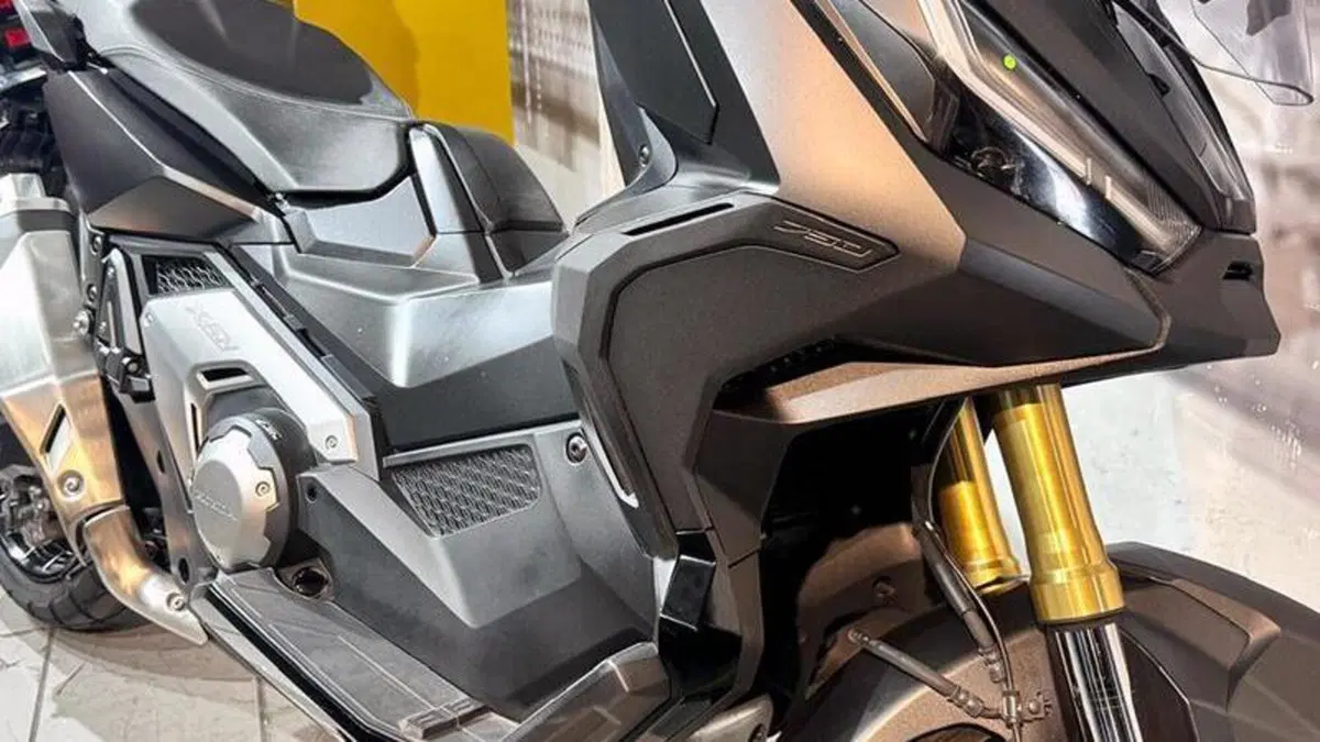 Honda Dax 125 (2023 - 24)  (3)