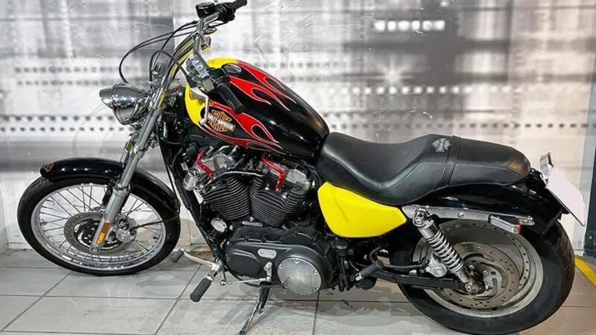 Harley-Davidson 883 (2006 - 07) - XL  (2)