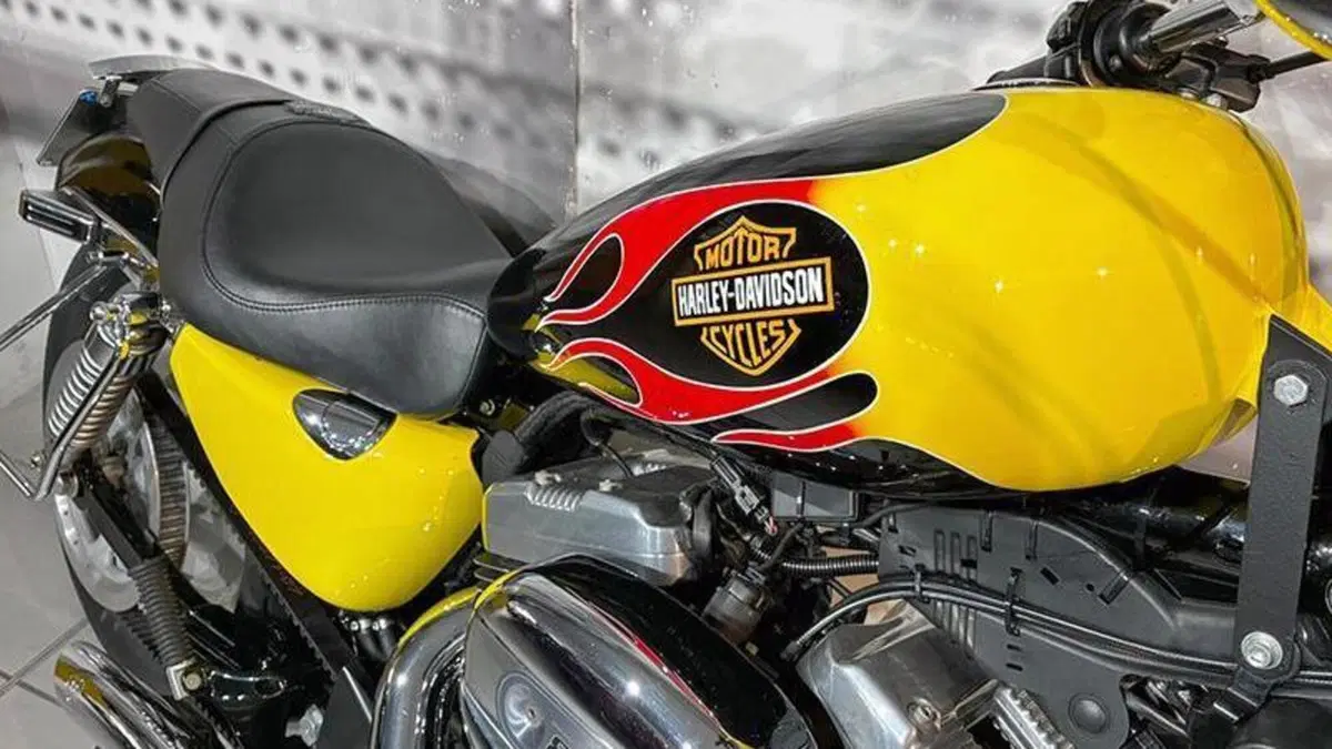 Harley-Davidson 883 (2006 - 07) - XL  (3)