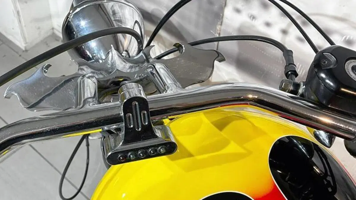 Harley-Davidson 883 (2006 - 07) - XL  (6)
