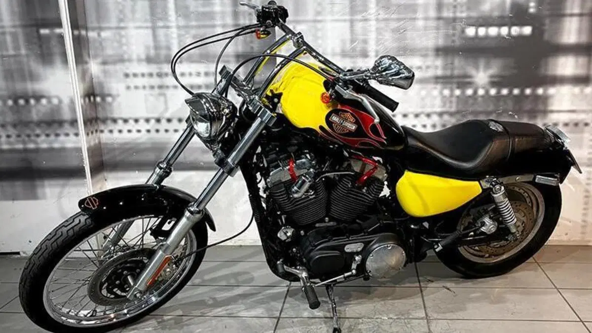 Harley-Davidson 883 (2006 - 07) - XL  (7)