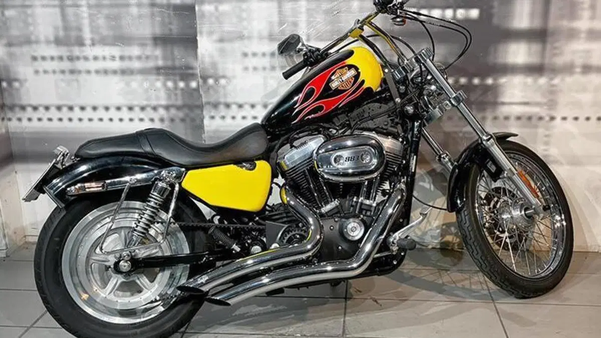Harley-Davidson 883 (2006 - 07) - XL  (8)