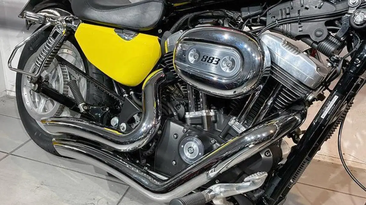 Harley-Davidson 883 (2006 - 07) - XL  (9)