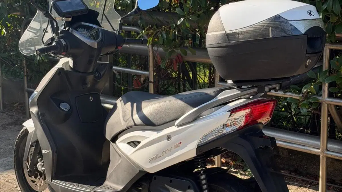 Kymco Agility 50 R16 + (2008 - 18)  (11)