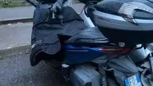 Honda Forza 350 (2022 - 24)  (2)