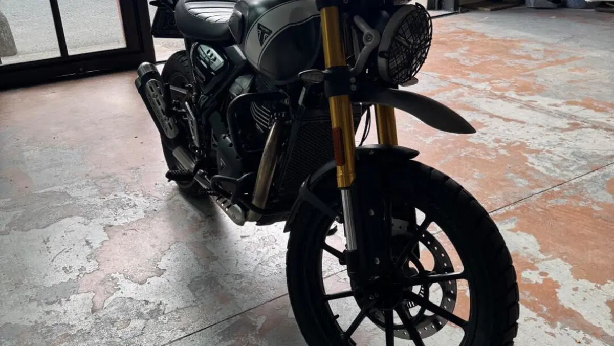 Triumph Scrambler 400 X (2024 - 26)  (3)