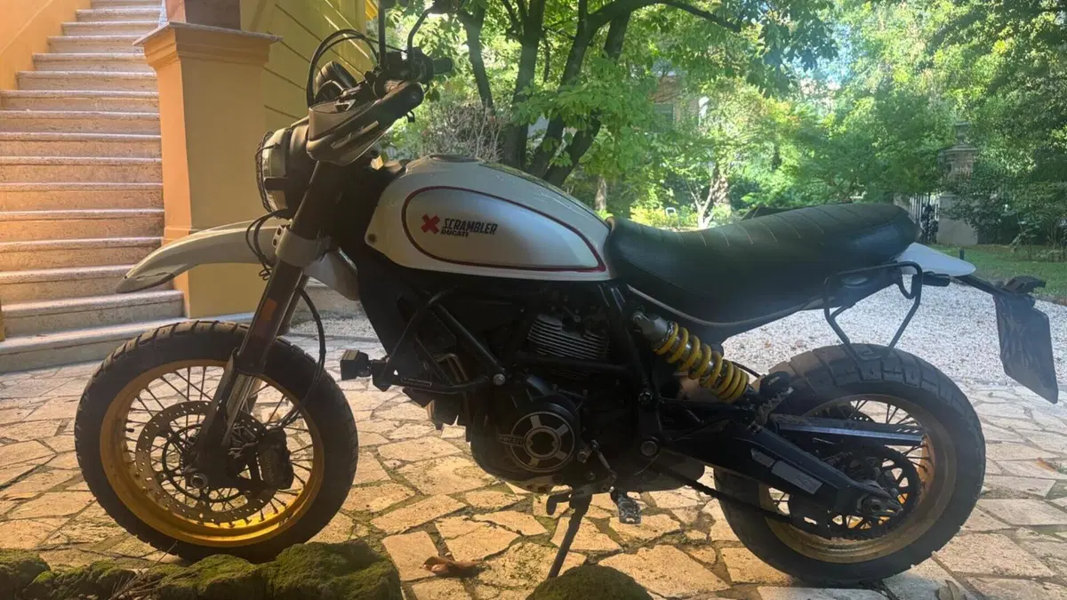 Ducati Scrambler 800 Desert Sled (2017 - 20)  (2)