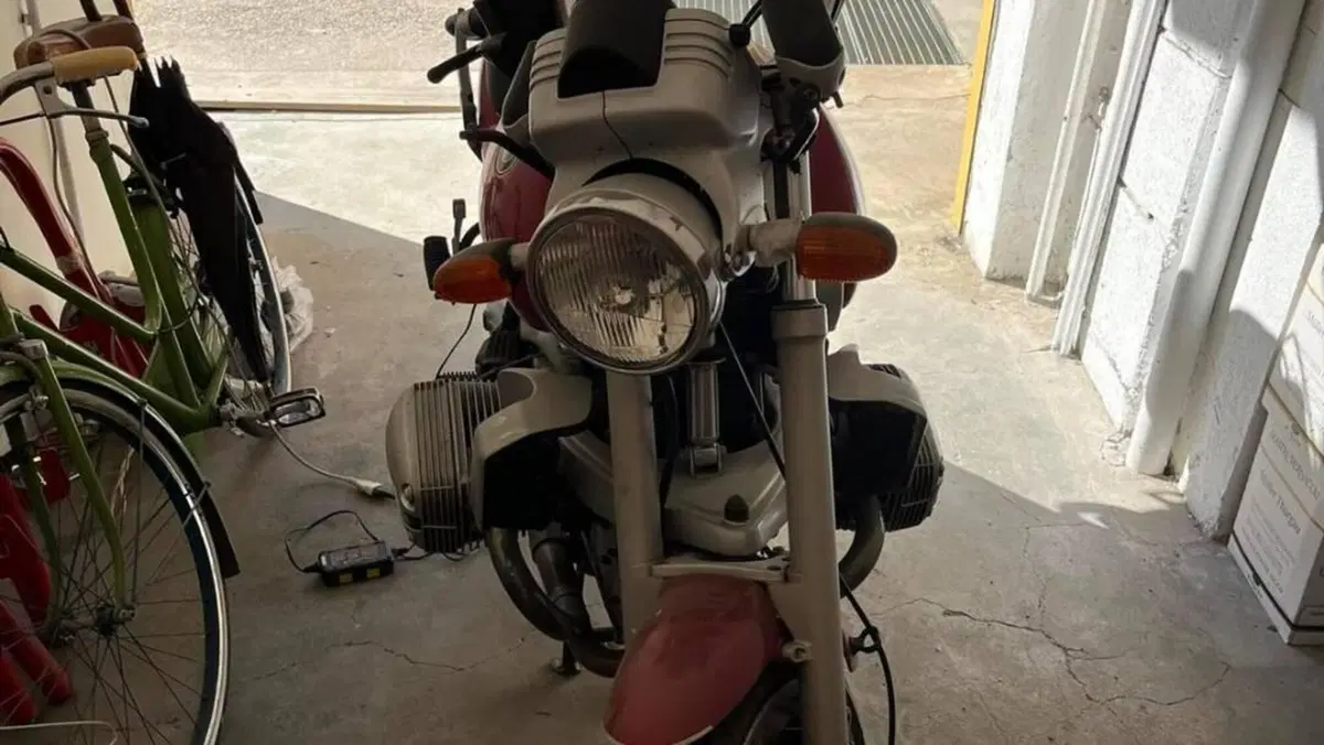 Bmw R 1100 R  (3)