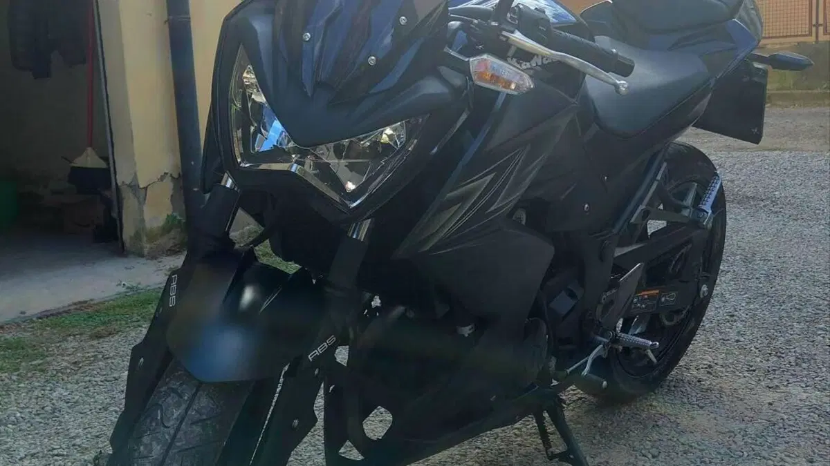 Kawasaki Z 300 ABS (2015 - 16) 