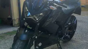 Kawasaki Z 300 ABS (2015 - 16) 