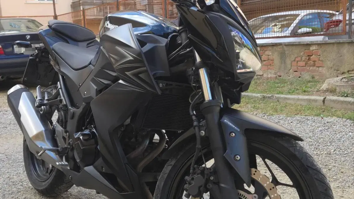 Kawasaki Z 300 ABS (2015 - 16)  (2)