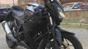 Kawasaki Z 300 ABS (2015 - 16)  (2)