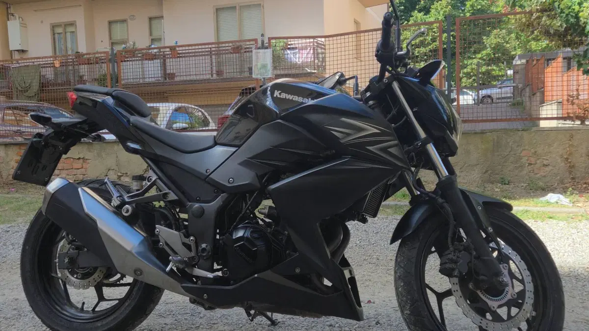 Kawasaki Z 300 ABS (2015 - 16)  (3)