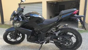 Kawasaki Z 300 ABS (2015 - 16)  (4)