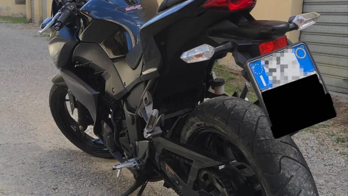 Kawasaki Z 300 ABS (2015 - 16)  (5)
