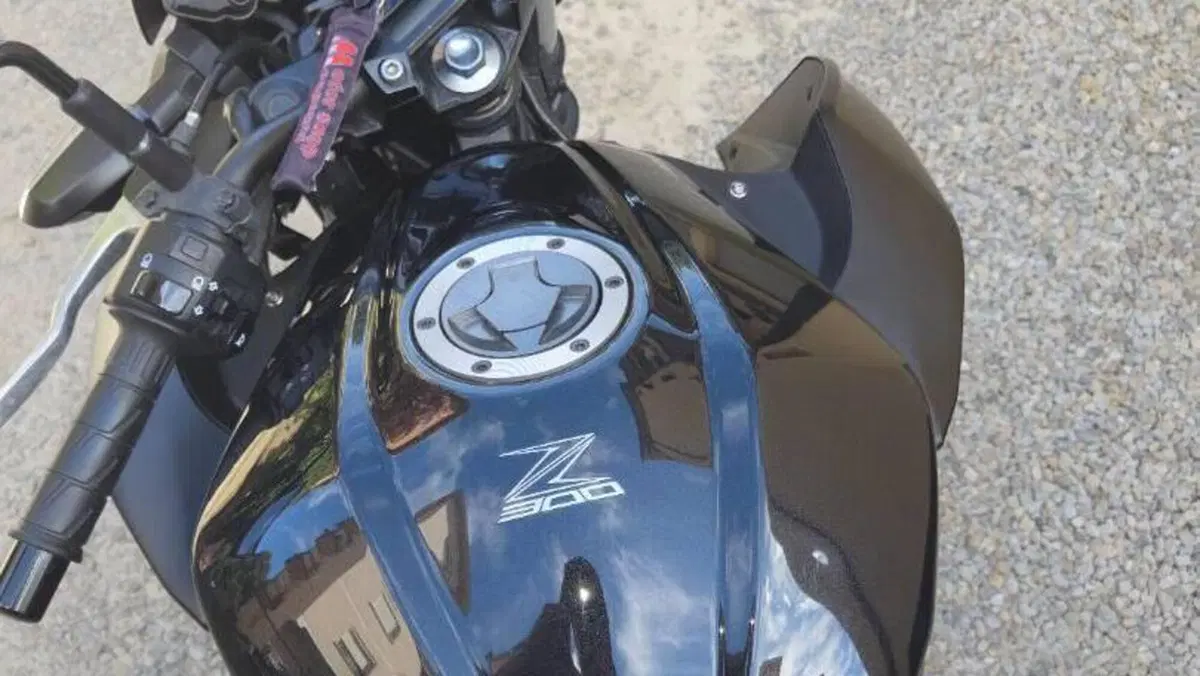 Kawasaki Z 300 ABS (2015 - 16)  (6)