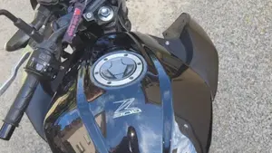Kawasaki Z 300 ABS (2015 - 16)  (6)
