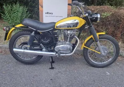Ducati Scrambler 450 - Annuncio 10098669