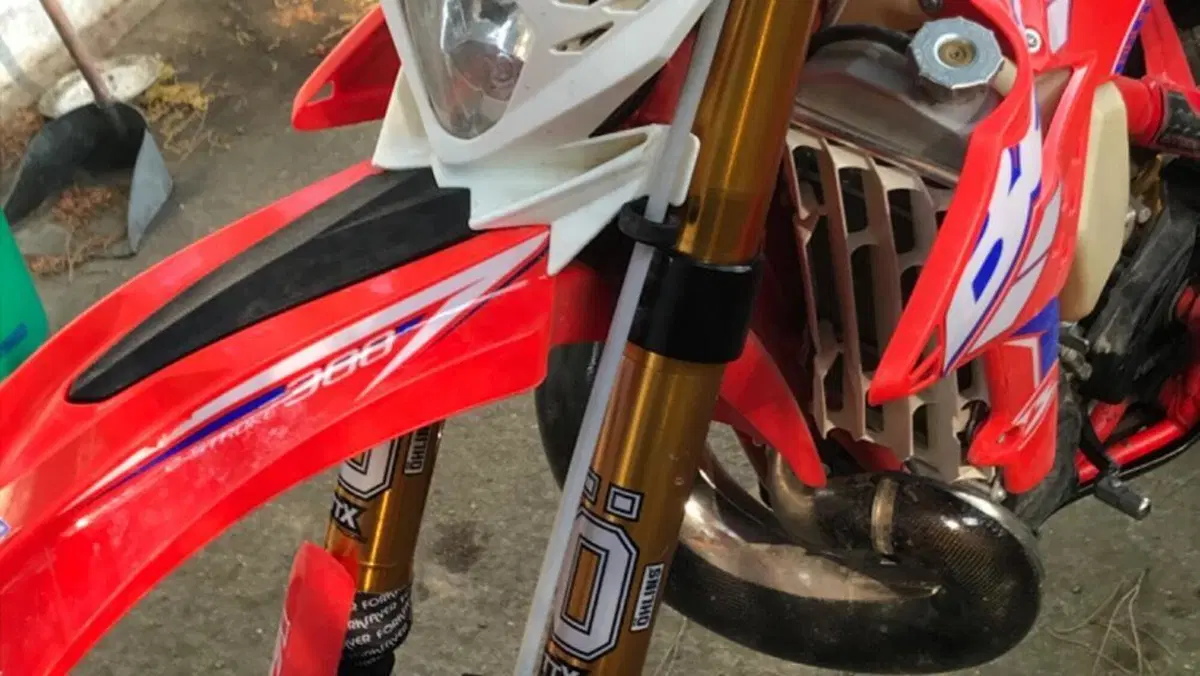 Betamotor RR 300 2T Enduro Racing (2015)  (2)