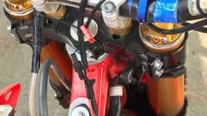 Betamotor RR 300 2T Enduro Racing (2015)  (3)