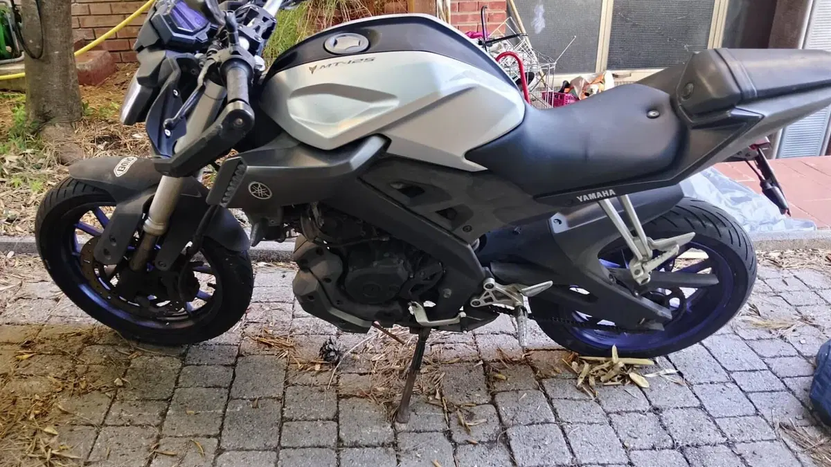 Yamaha MT-125 ABS (2015 - 16) 
