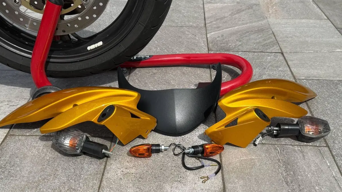 Honda Hornet 600 (2007 - 10)  (9)