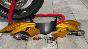 Honda Hornet 600 (2007 - 10)  (9)