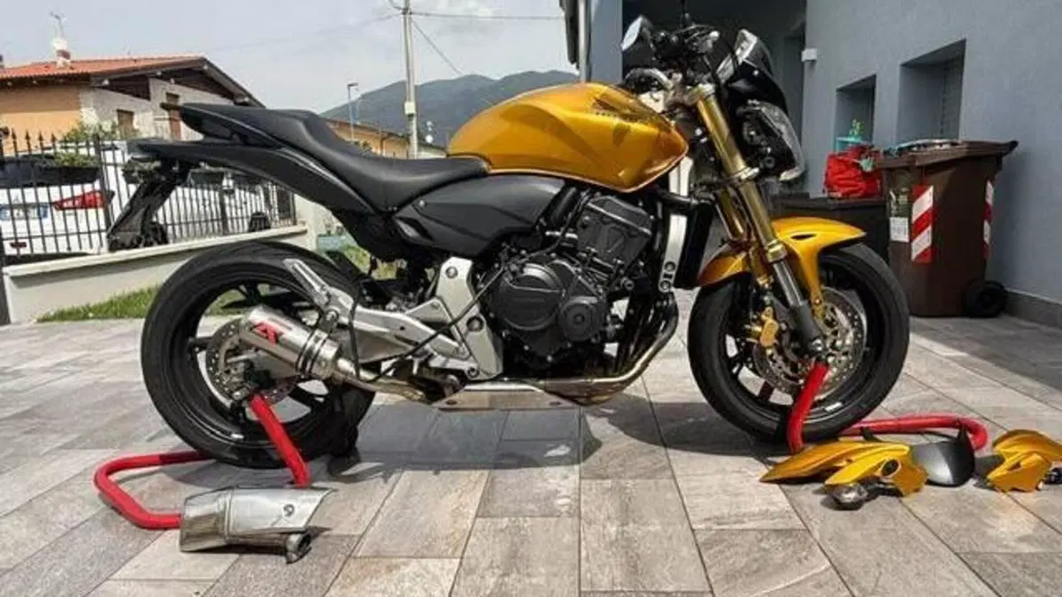 Honda Hornet 600 (2007 - 10)  (2)