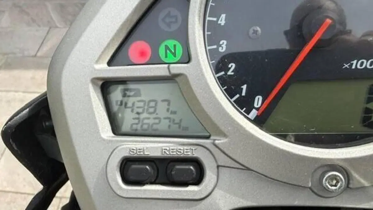 Honda Hornet 600 (2007 - 10)  (7)