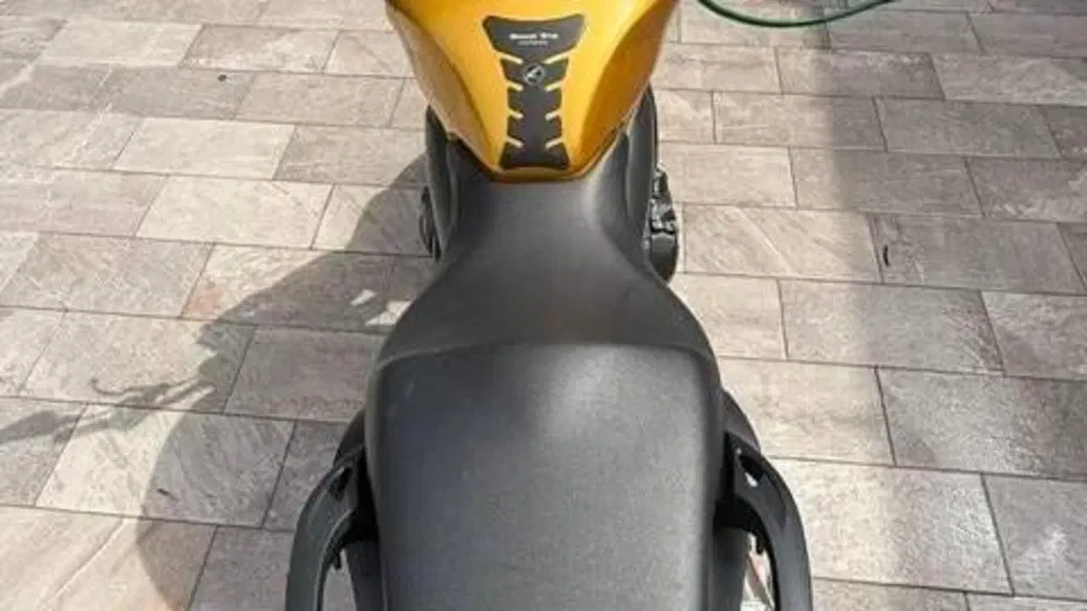 Honda Hornet 600 (2007 - 10)  (6)