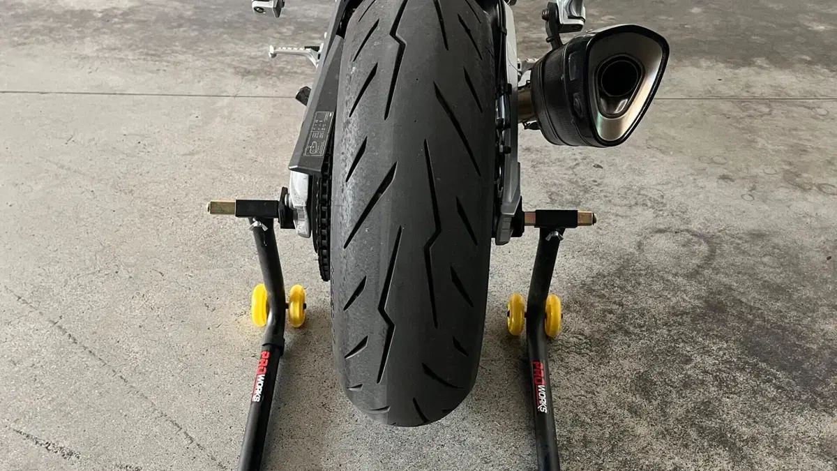 Aprilia RS 660 (2020 - 24)  (11)