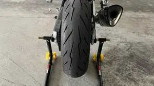 Aprilia RS 660 (2020 - 24)  (11)