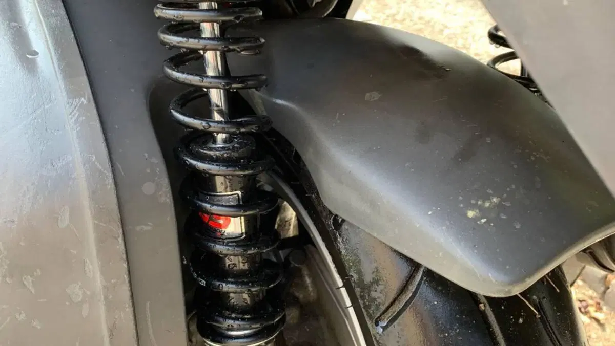 Aprilia Leonardo 250 (1999 - 02)  (6)