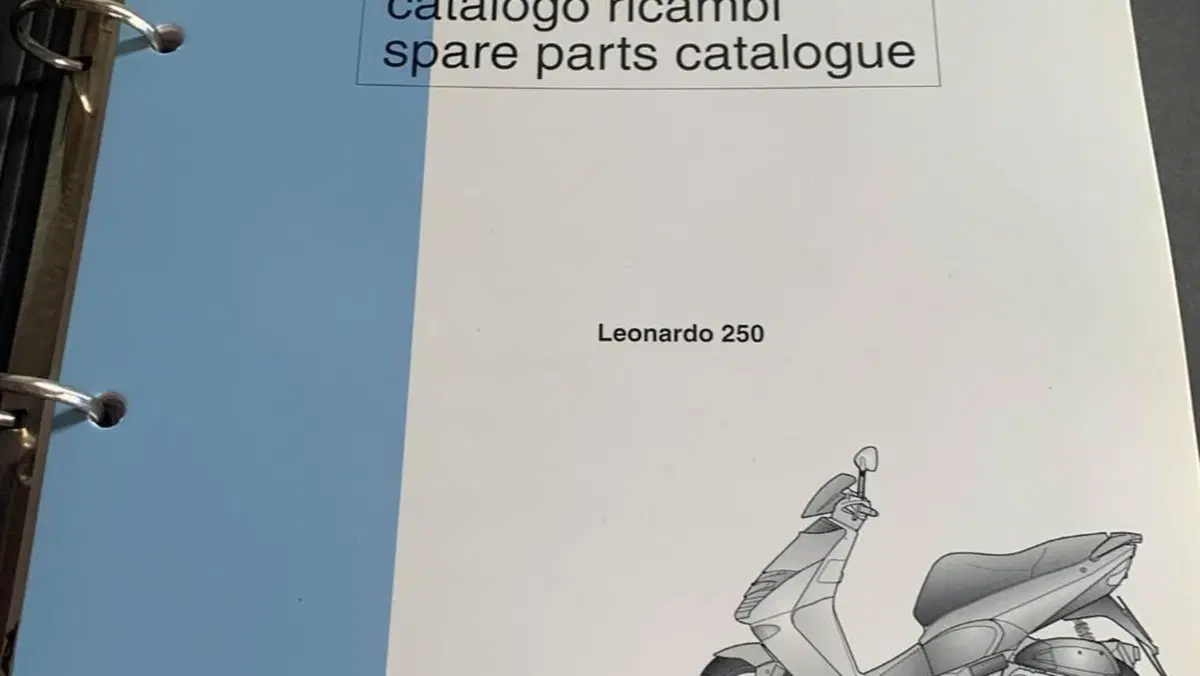 Aprilia Leonardo 250 (1999 - 02)  (17)