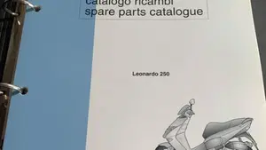 Aprilia Leonardo 250 (1999 - 02)  (17)