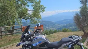 Bmw G 310 GS (2017 - 20)  (7)