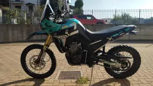 Kove 800 Rally (2025 - 26)  (2)